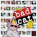 Bad Cat Wall Calendar 2010
