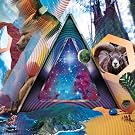 Universal Pulse