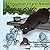 Shroobear's First Swim: Book I Of The Shroobear Short Stories