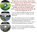 dandruff4  - The Fantastic Super Marketing Godfather Principles and Accounting