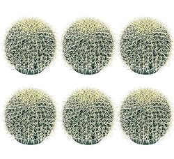6 pieces of 8" Barrel Artificial Cactus Desert Plants