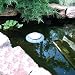 Thermo-Pond Perfect Climate Float Attachment