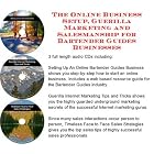 The Online Business Setup, Guerilla Marketing, Salesmanship for Bartender Guides... by Bartender's Guides