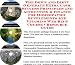 Book The Down and Dirty Generate Extra Cash, Success Principles and Accounting & Finance for Homeopathic Supplements And Vitamins Web Biz 3 Course + Resour