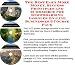 Book The Best Earn More Money, Success Principles and eCommerce for Snowboarding Goggles On-line Businesses 3 Course Pack