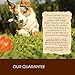 Holistic Select Natural Wet Grain Free Canned Dog Food, Duck Pâté Recipe, 13-Ounce Can (Pack Of 12)