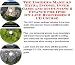 Book The Insider's Make An Extra Income, Inner Game and Accounting & Finance for Ipod On-line Businesses 3 CD Course