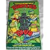 Teenage Mutant Ninja Turtles: The Making of the Coming Out of Their Shells Tour