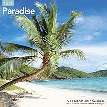 Paradise Wall Calendar (2017)