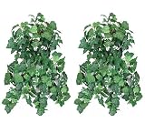 TWO 36" Artificial Ivy/Grape Ivy/ Variegated Ivy Mixed Hanging Bushes