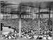 adult education new york
Chautauqua,New York,N.Y.,inside a crowded ampitheatre,Adult Education Movement