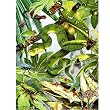 Jumpers and Crawlers Childrens Puzzle 60 pc