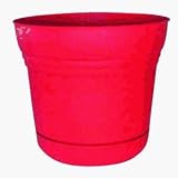 Duraco Products Inc S490 RASP Raspberry Saturn Planter 5