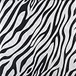 Dreamy Linens Black and White Zebra Print Shower Curtain