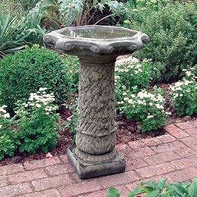Garden Bird Bath - Vine Design Stone Birdbath Feeder