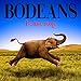 BoDeans, I Cant Stop, 発売中