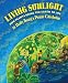 Living Sunlight: How Plants Bring The Earth To Life