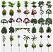 Wang Collection Trees & Plants Volume 1