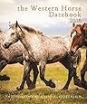 2016 Western Horse Desk Datebook (The Stoecklein Collection)