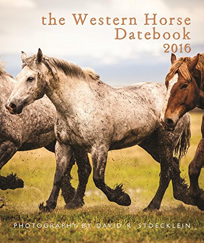 2016 Western Horse Desk Datebook
