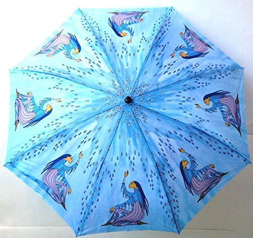 Collapsible Rainmaker Umbrella w/Case Sioux Artist Maxine Noel Native Women
