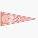 3 Cleveland Browns Pink NFL Wholesale Team Pennants