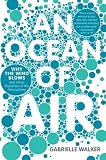 An Ocean of Air: Why the Wind Blows and Other Mysteries of the Atmosphere