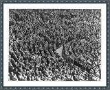 Historic Print (S): [Ill. - Chicago - Wrigley Field - large crowd standing for National Anthem before 1st ho
