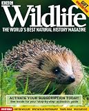 BBC Wildlife Subscription Gift Pack ( 13 issues)