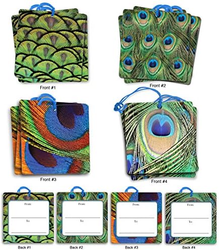 G3003 Fancy Feathers: Set of 12 Thank You Themed Gift Tags Feature the Iridescent Blue and Green Plumage of a Peacock,With Attached Cotton String (3 Tags Each of 4 Complementing Designs).
