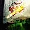 2008 Fall Hard Rock Best Albums