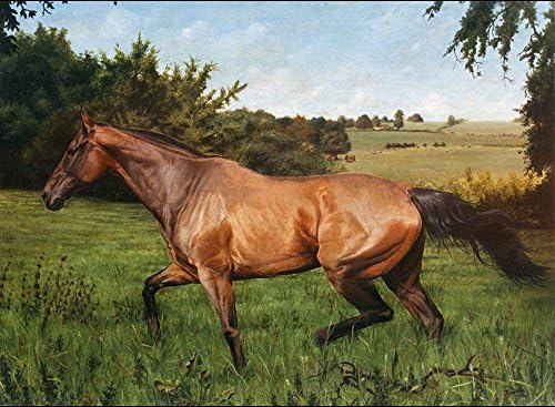 Custom Horse portrait, Equine portrait, Horse painting, Equine oil painting sample on canvas, complex scene adds to price - please Amazon message me to create your custom order. 50% deposit option.