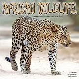 African Wildlife 2009 Wall Calendar 12 X 12