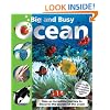 Big and Busy Ocean