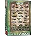 EuroGraphics History of Tanks Puzzle (1000-Piece)