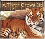 A Tiger Grows Up (Wild Animals)