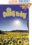 It's Sunny Today (Lightning Bolt Books: What's the Weather Like?)