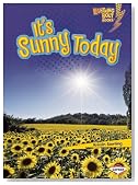 It's Sunny Today (Lightning Bolt Books: What's the Weather Like?)