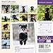 Magnet & Steel 2017 Black Labrador Calendar, Traditional Wall Calendar