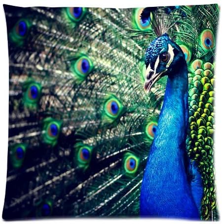 Beautiful Peacock Design Square Decorative Throw Pillow Case 18x18 Inch Custom Personalized Zippered Soft Cushion Case Cover for Sofa(Twin sides)