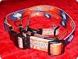 SMALL LEAD - Denver Broncos - NFL Dog Lead