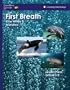 First Breath Killer Whales and Manatees: Lessonplans Grades 3-5