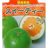 スイーティー（オロブランコ）4.5号ポット[グレープフルーツと文旦の交配種　柑橘・かんきつ類苗木]