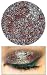 Lime Crime Magic Dust Loose Eyeshadow - Dragon Scales