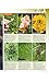 Gardeners' World