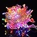 Flashmen® 100 Led 10m Christmas Wedding Fairy String Lights with 8 Function Controller (1. Multi Color)