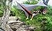 ENO, Eagles Nest Outfitters DryFly Rain Tarp, Ultralight Hammock Accessory