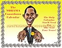 NOBAMA 4-YEAR COUNTDOWN CALENDAR