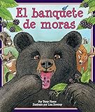 Cover for 9781628553819