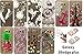Fit [Galaxy S6 Edge Plus], (5.7”) Galaxy S6 Edge Plus Case, MerKuyom® - [Pink Flower Floral] Transparent Soft Gel TPU Cover + Stylus for Samsung Galaxy S6 Edge Plus / S6 Edge+/ SM-G928